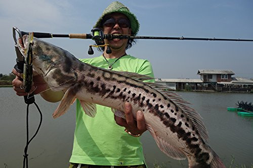 WORLD MONSTER WMSC-734H ルアーロッド Abu Garcia World Monster Wmsc-734h 4pcs Baitcasting Rod for
