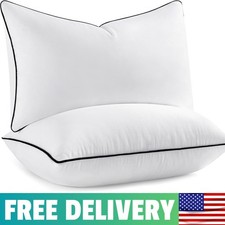 12x20 Pillow Inserts, Fluffy Down Alternative Filling Pack Of 2