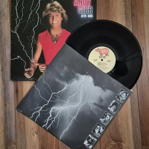 Vintage 80's Vinyl LP Record Collection - Eddie Rabbitt, Hall & Oates, Andy Gibb - Picture 5 of 5