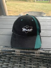 Vintage 2000s Vault Energy Drink Hat
