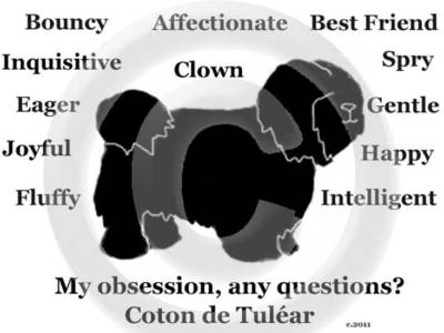 Coton de Tulear Dog My Obsession, Any Questions? T-shirt Choices