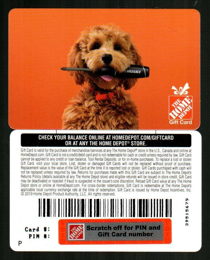 Home depot best sale dog