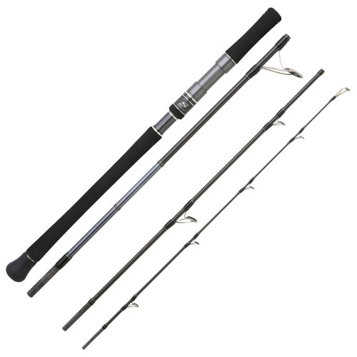 CANNE DIGUE / SURF LONG CAST MILLENIUM 4M20 - Cannes Surf Casting (9827990 CANNE DIGUE / SURF LONG CAST MILLENIUM 4M20 - Cannes Surf Casting (9827990