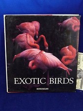 Photography Exotic Birds Dennis Paulson 1st Edition Hardcover Color Art Book