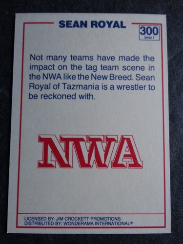 1988 Wonderama NWA Wrestling Cards Complete Your Set U Pick From List 201-343 - Picture 231 of 354