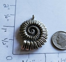 Shell charms ocean sea beach water vacation F