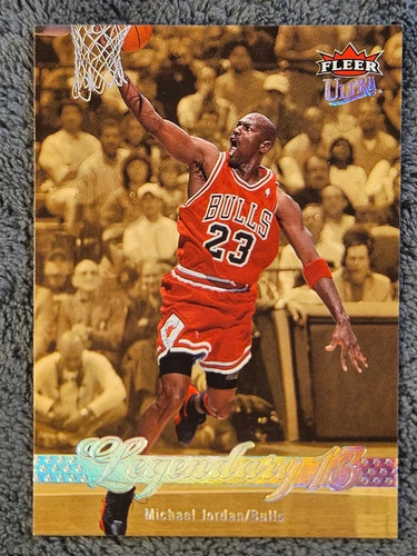 Jordan 2007 Fleer Jordan #244