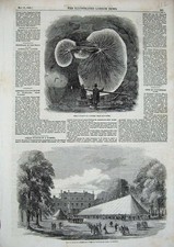 Original Old Antique Print 1858 Totteham Park Wiltshire Fungus Tunnel Doncaster