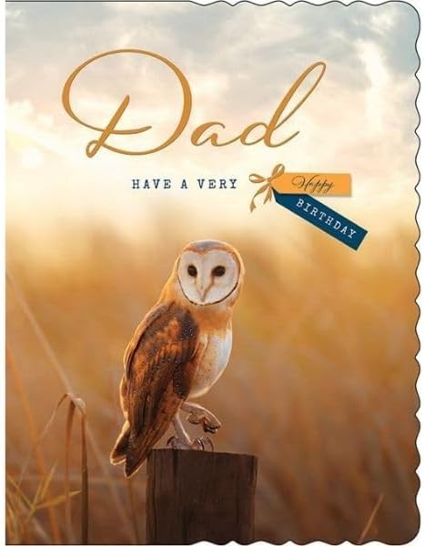 Dad Birthday Card. Picture Of Owl. 19x13cm