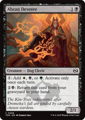 mtg abzan cards Magic: The Gathering Tarkir Dragonstorm Armor Commander Deck Choose one Abzan Ascendancy | Promotional |