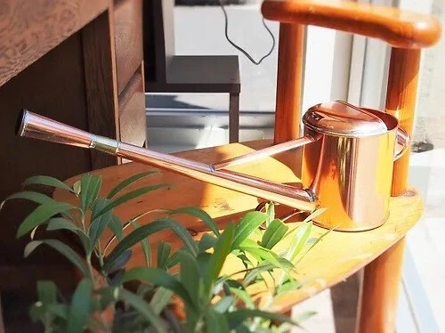 Regadera de lluvia interior para fabricante de bonsáis "Negishi Industry Chooro" Foto 2 de 4