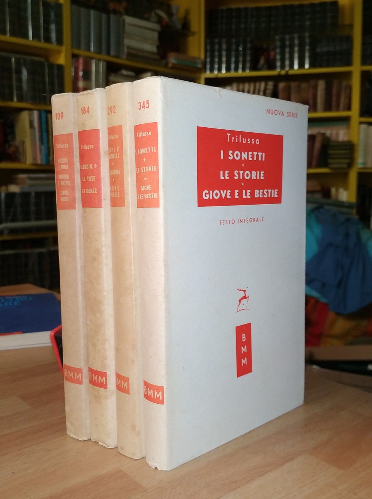Foto 1 di 14