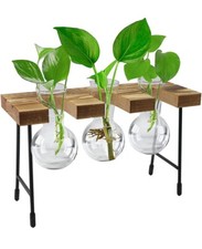 Geometric Glass Plant Terrarium. Indoor gardening, Home Decor. 8.5"Lx3"Wx5"H