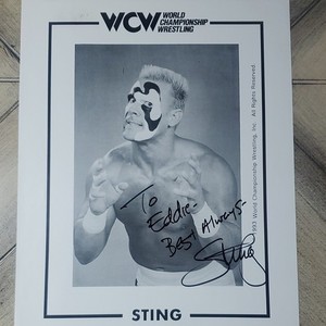 Sting Autographs | eBay