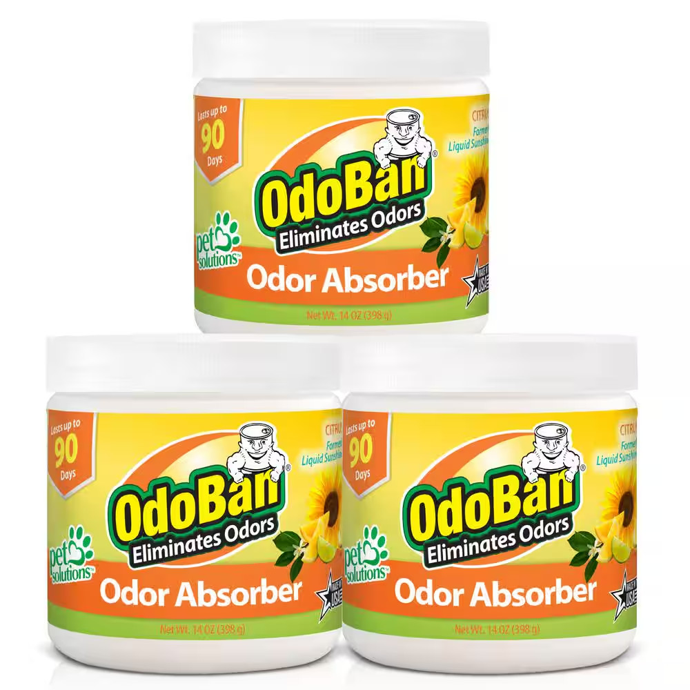 OdoBan 14 oz. Citrus Solid Odor Absorber, Odor Eliminator for Smoke (3-Pack)