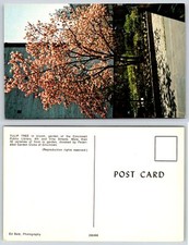 Cincinnati Ohio TULIP TREE PUBLIC LIBRARY GARDENS Postcard j397