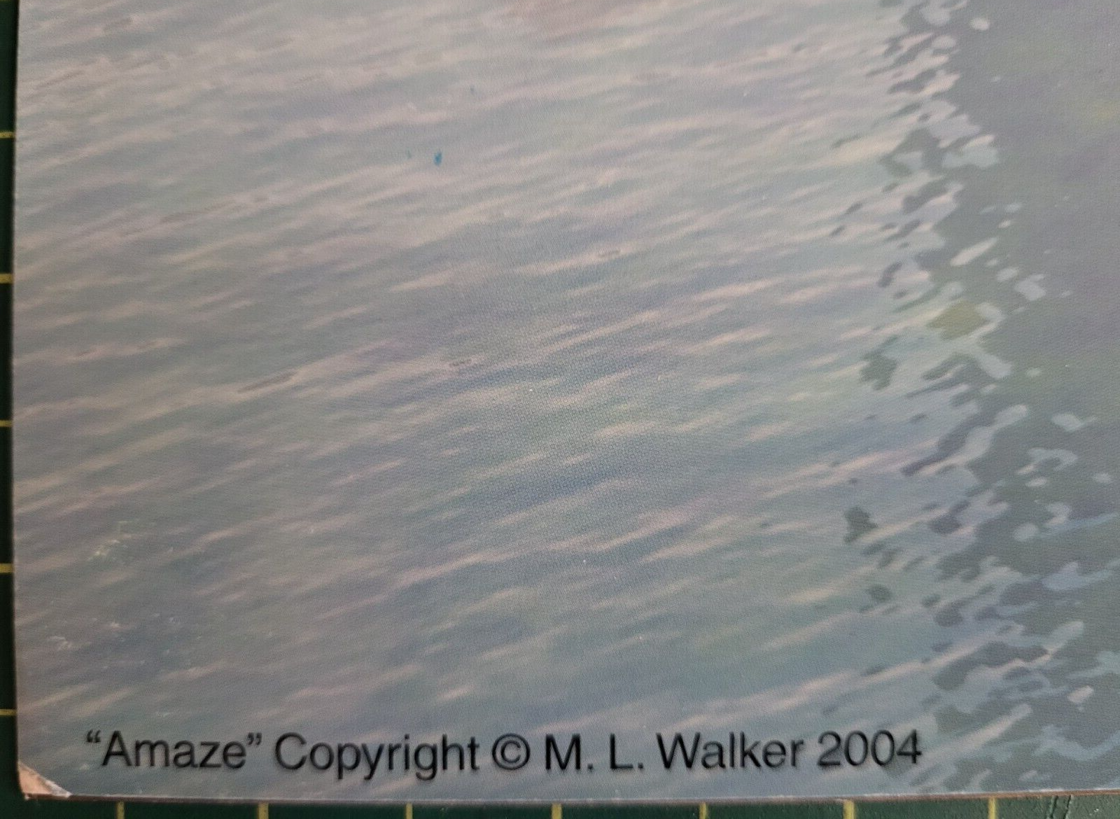 Picture 4 of 4