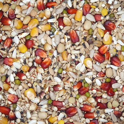 Beyers Premium Enzymix Power 25kg