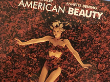 AMERICAN BEAUTY Limited Steelbook Edition  GERMANY 