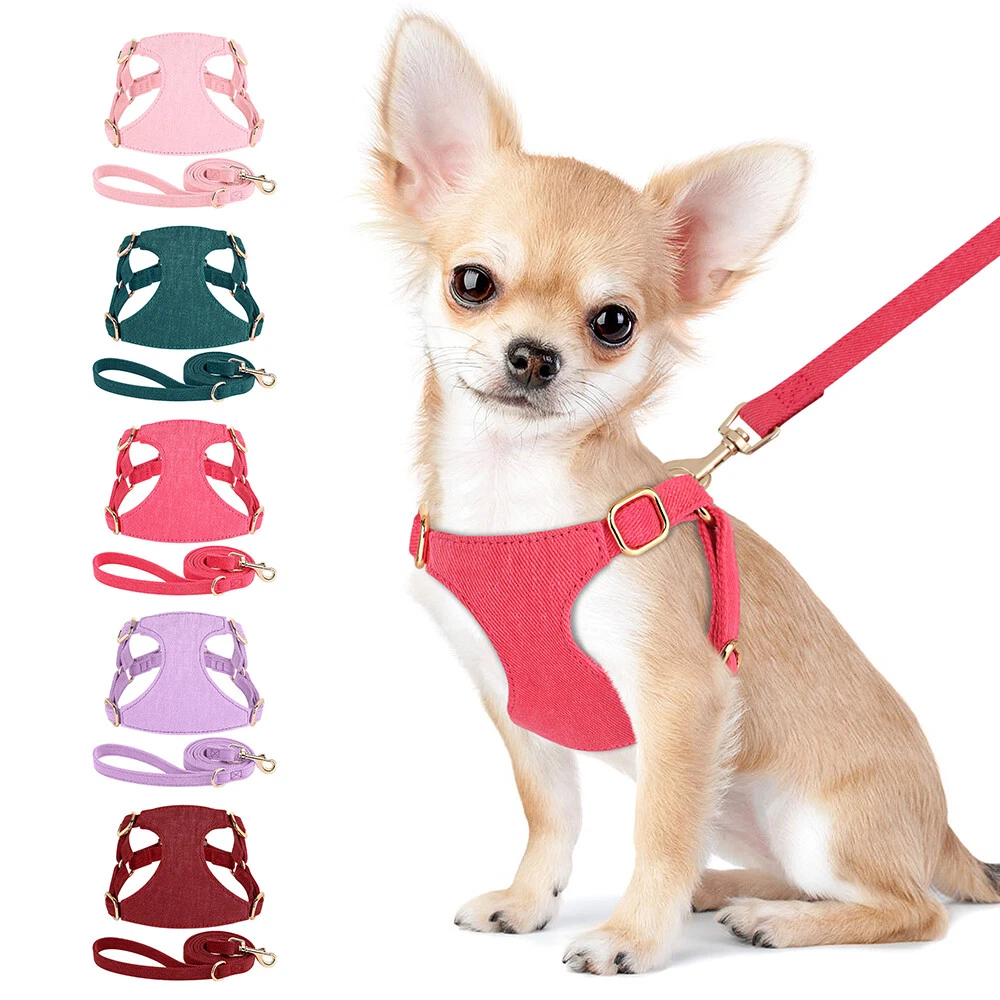 Tiny top puppy harness