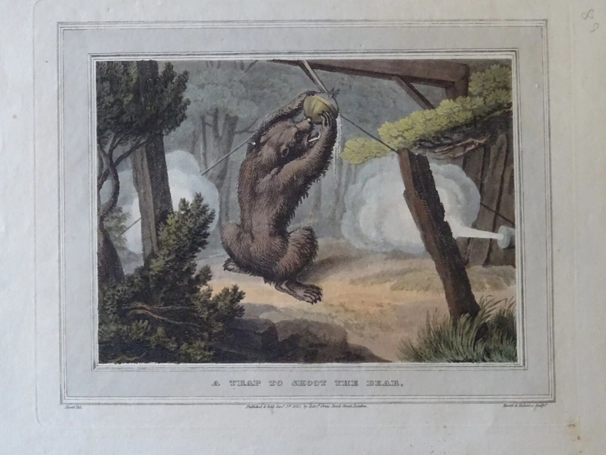 Gravure Anglaise encadrée La chasse a courre XX siècle