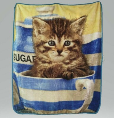 Tabby kitten cat in teacup Greg Cuddiford Northwest throw blanket  NEW