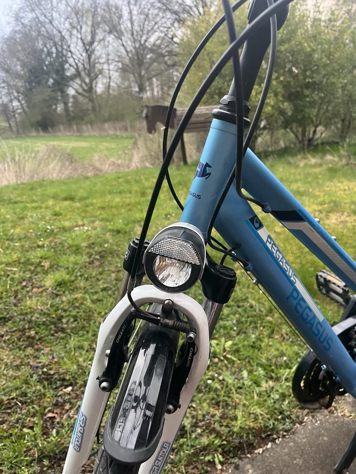 pegasus piazza - Bild 3 von 4