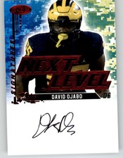 2022 Sage Next Level Signatures Red David Ojabo #DO