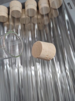 XXL Glas Reagenzglas Reagenzgläser Zigarren Räucherstäbchen Aufbewahrung AntFarm