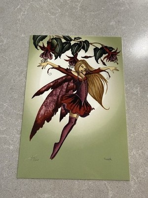 Amy Brown Fairy Fushia Postcard 6 x4.5 