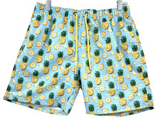 Franks Swim Shorts Mens Trunks Large Lined Blue All Over Pineapple's NWT