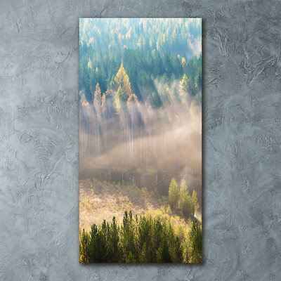 Wandbild Druck auf Plexiglas  Acryl Hochformat 60x120 Nebel über dem Wald