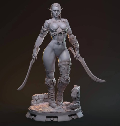 Hanza, Elf Drow Fighter | Hardwitch Games - 第 26/39 張圖片
