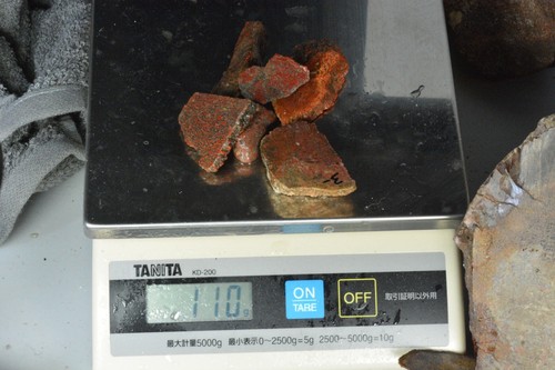 Agatized Dinosaur Bone, Utah, EX Shirley Collection, 110 grams - Picture 8 of 8