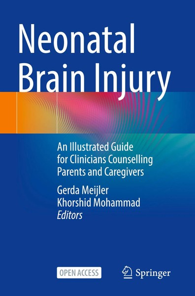 Gerda Meijler (U. A.) | Neonatal Brain Injury | Taschenbuch | Englisch (2026)-image