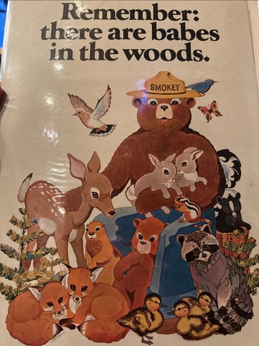 Rare Original 1973 Smokey The Bear Poster Near Mint 1st Print!! 13.25x 18.5