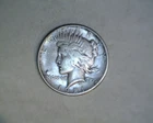 1921   PEACE DOLLLAR IN  FINE+