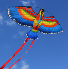 43" Bule Kite For Children Lovely Cartoon Parrot Kites W/30m Flying Line