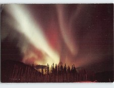 Postcard Northern lights shimmer and dance across the sky Liard River Canada