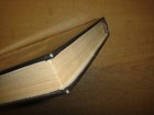 Bild 11 von 12