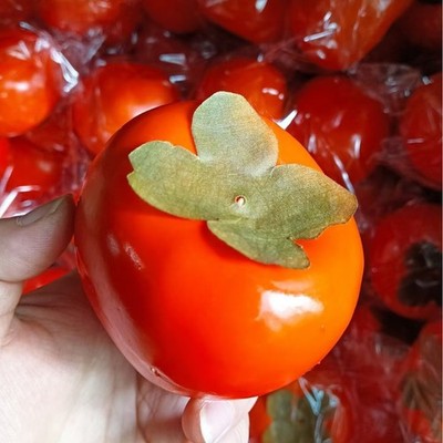 Künstliche rote Persimone Obst Modell 6cm Schaumstoff für DEKO für festliche