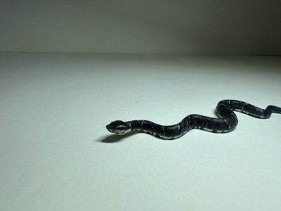 Cottonmouth Snake Toy Custom Handmade Figure Craft Art Resin Water Moccasin