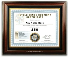 IQ TEST SCORE CERTIFICATE - Mind Development Intelligence Brain Teaser Puzzle