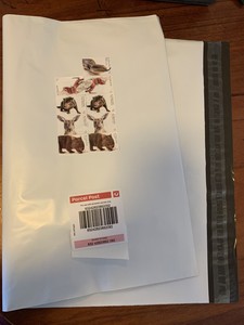 parcel post 500g satchel