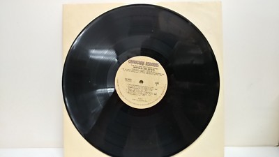 THE ALLMAN BROTHERS BAND-BROTHERS AND SISTERS RECORD ALBUM