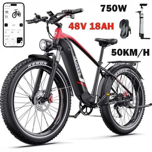 DUOTTS F26 Lite 26 Zoll Elektrofahrrad 750W E-Bike 48V 20Ah E-Mountainbike NEU - Bild 1 von 20