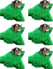 CATMAT. Tissue Grass Mats for Cats and Kittens. 6 Piece, Paper, Green