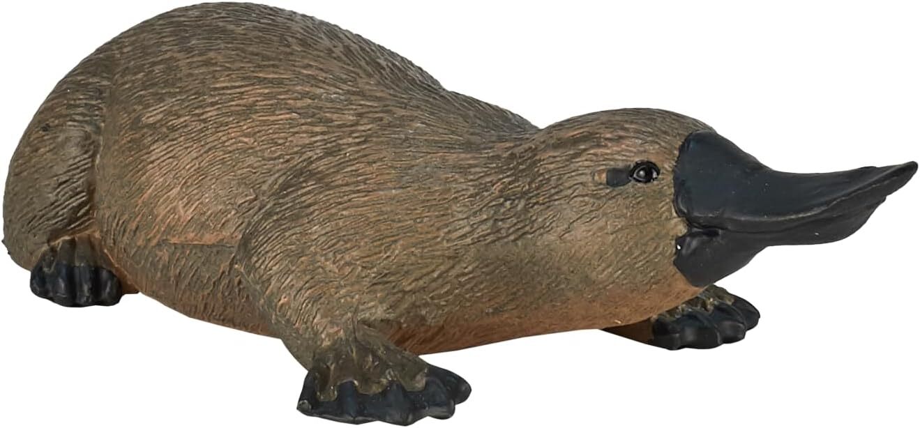 Figurine Ornithorynque CollectA - Faune Australienne - Modèle Jouet éducatif Neuf