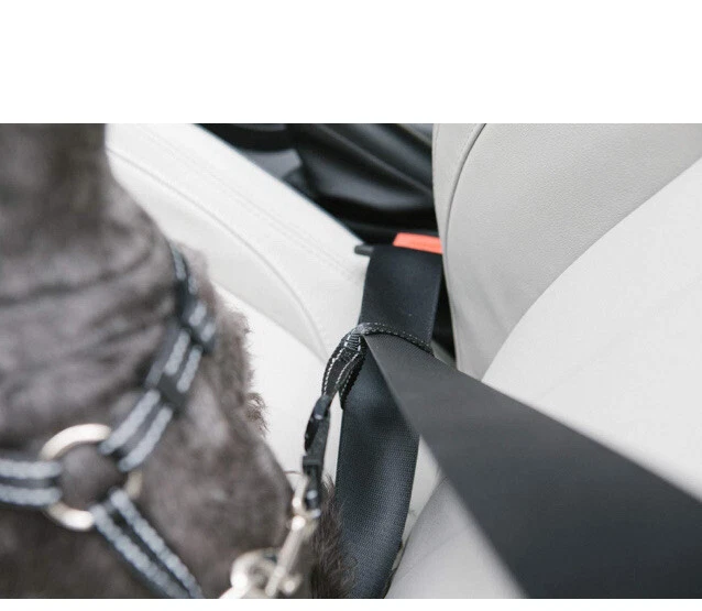 Arnés de seguridad para mascotas K&H Pet Products X-Large negro 24"-38" Foto 4 de 4