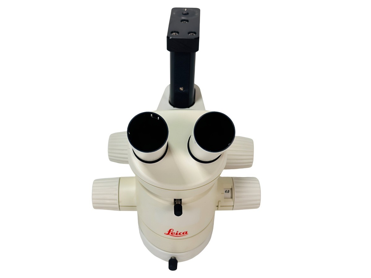 Leica MZ6 Stereo Microscope Ergo Tube Tilting +Head 10445822+Body+